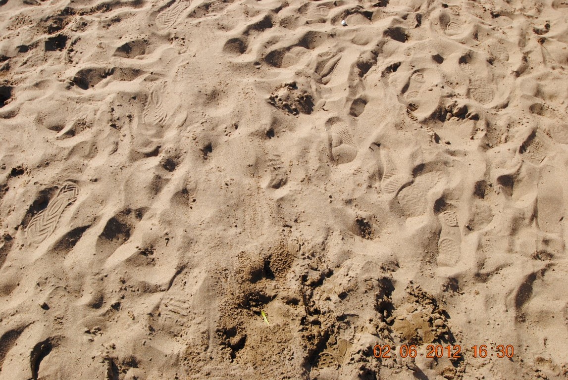 imagini hotel ALAIYE RESORT ALANYA